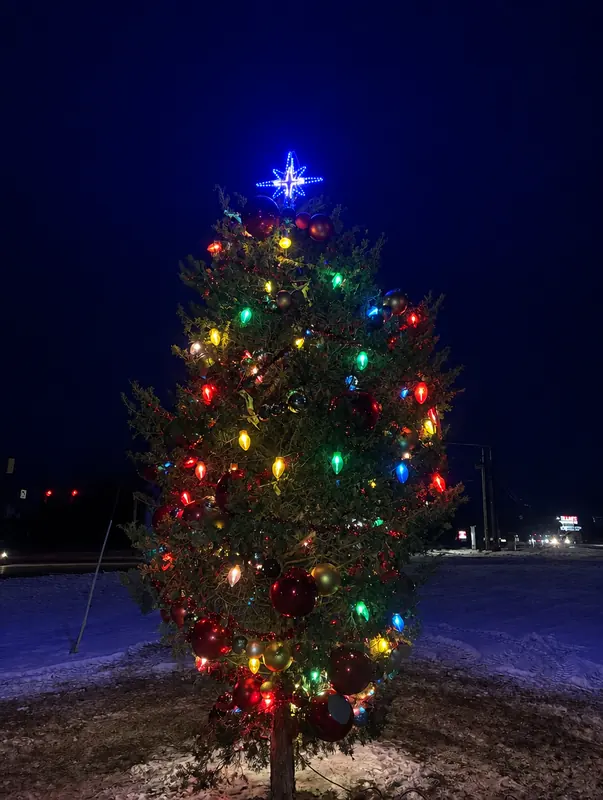 Evergreen tree with multicolor lights and a blue star topper