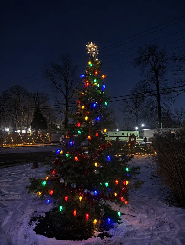 Tall evergreen with multicolor lights and a lit star on top