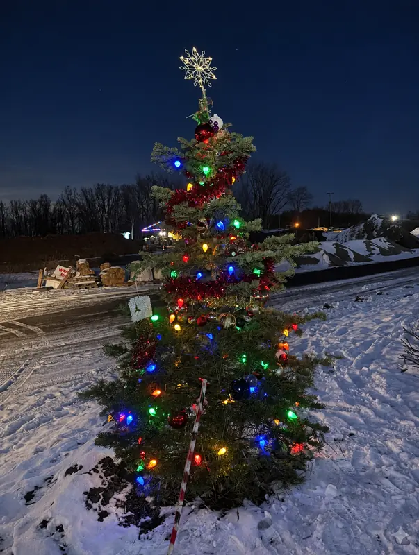 Evergreen tree wrapped in multicolor bulbs with a star on top
